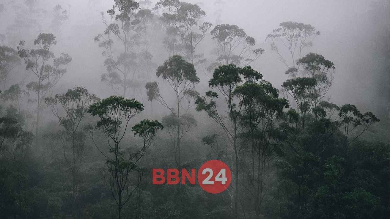 Imd Weather Update Bay Of Bengal Heavy Rain Alert Monsoon Kerala Goa
