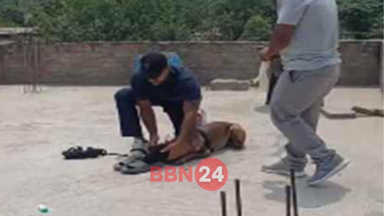 Youth Found Dead In Sister Wedding Bihar Crime News