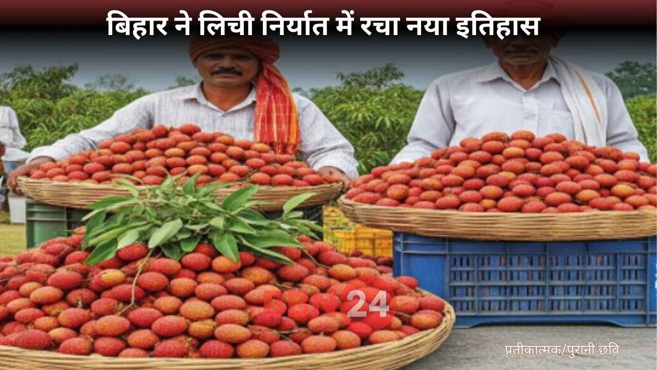 Bihar Sets Record With 250 Tonnes Of Mithila Lichi Export