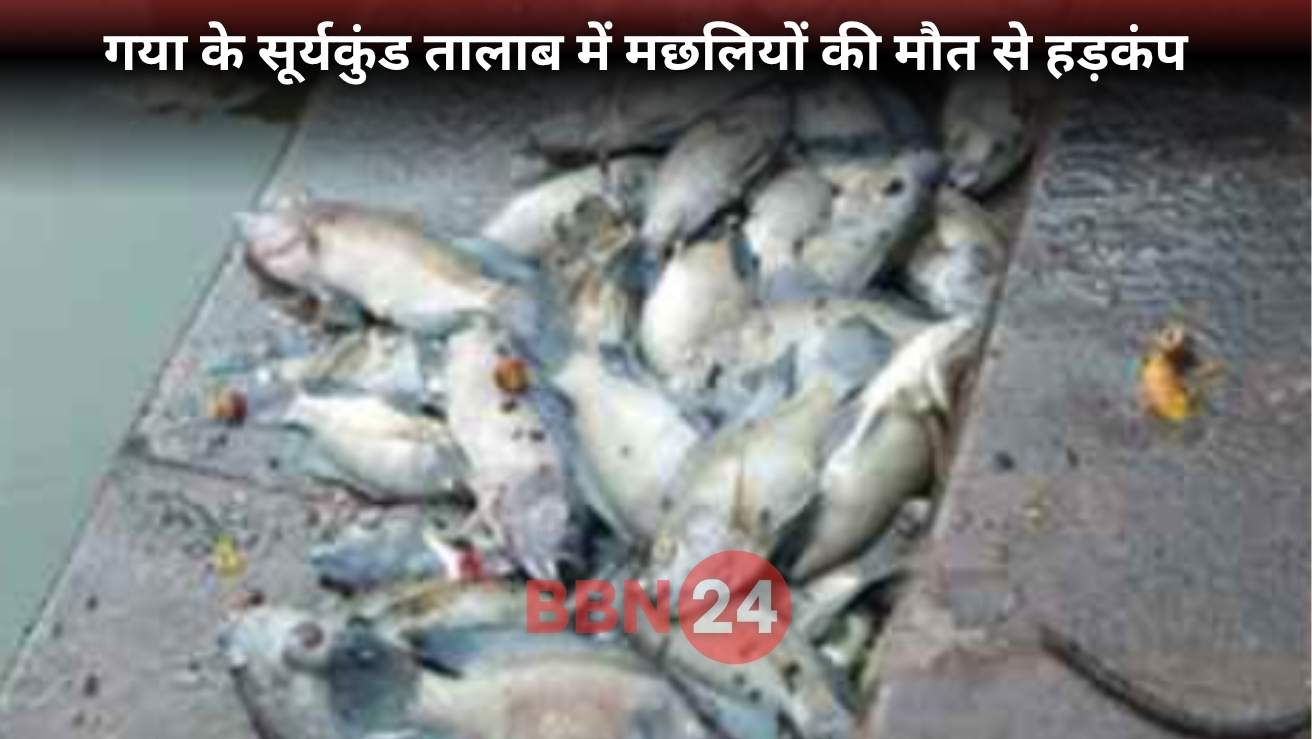 Fish Death Surya Kund Gaya Bihar Heat Pollution