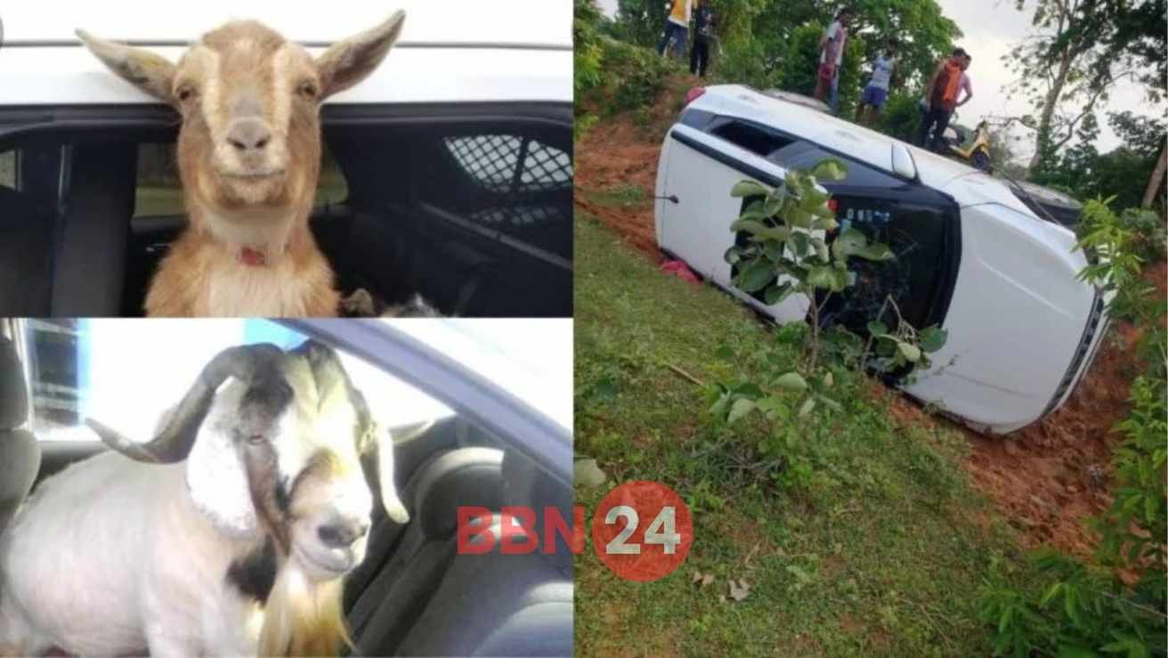 Luxury Car Goat Theft Ranchi Xuv300 Flipped