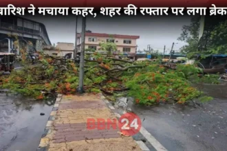 Ranchi Heavy Rainfall Trees Fallen Roads Damaged Alert