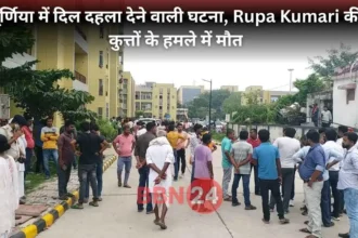 Seven Year Old Girl Killed By Stray Dogs In Purnia Bihar