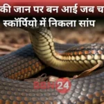 Snake Found Inside Car Jamui Ba Student Escapes
