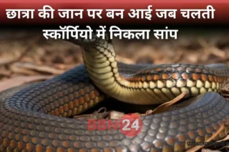 Snake Found Inside Car Jamui Ba Student Escapes