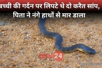 Bihar Father Saves Daughter From Two Snakes