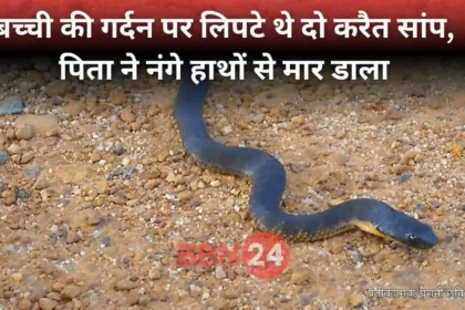 Bihar Father Saves Daughter From Two Snakes