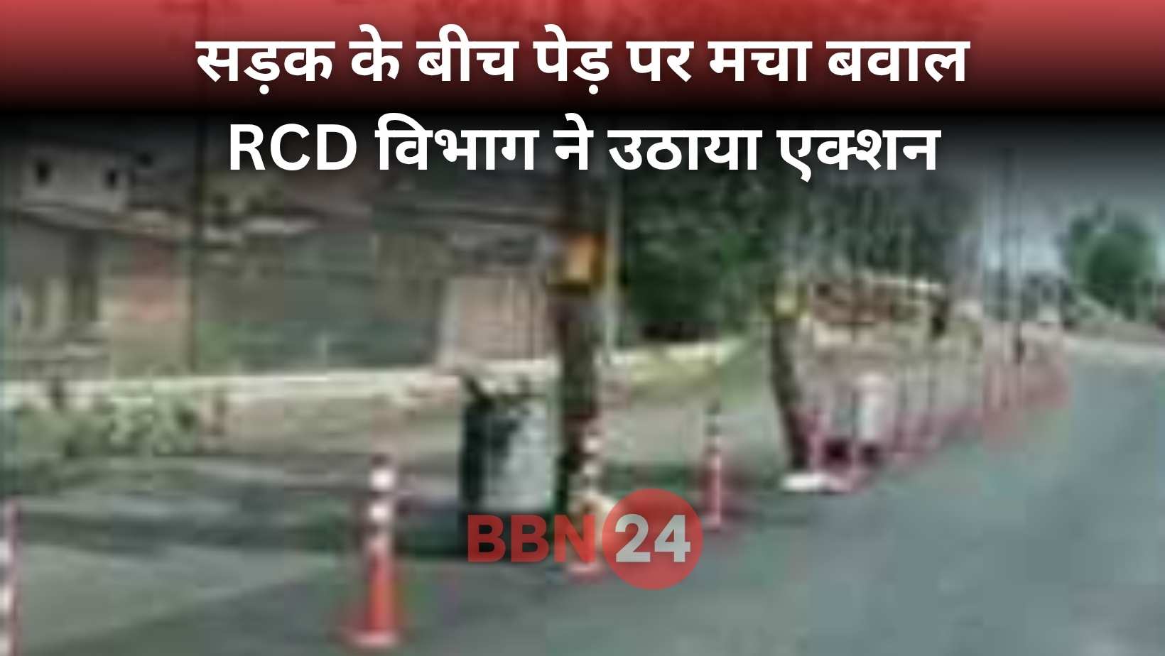 Bihar Jehanabad Road Tree Safety Rcd Action