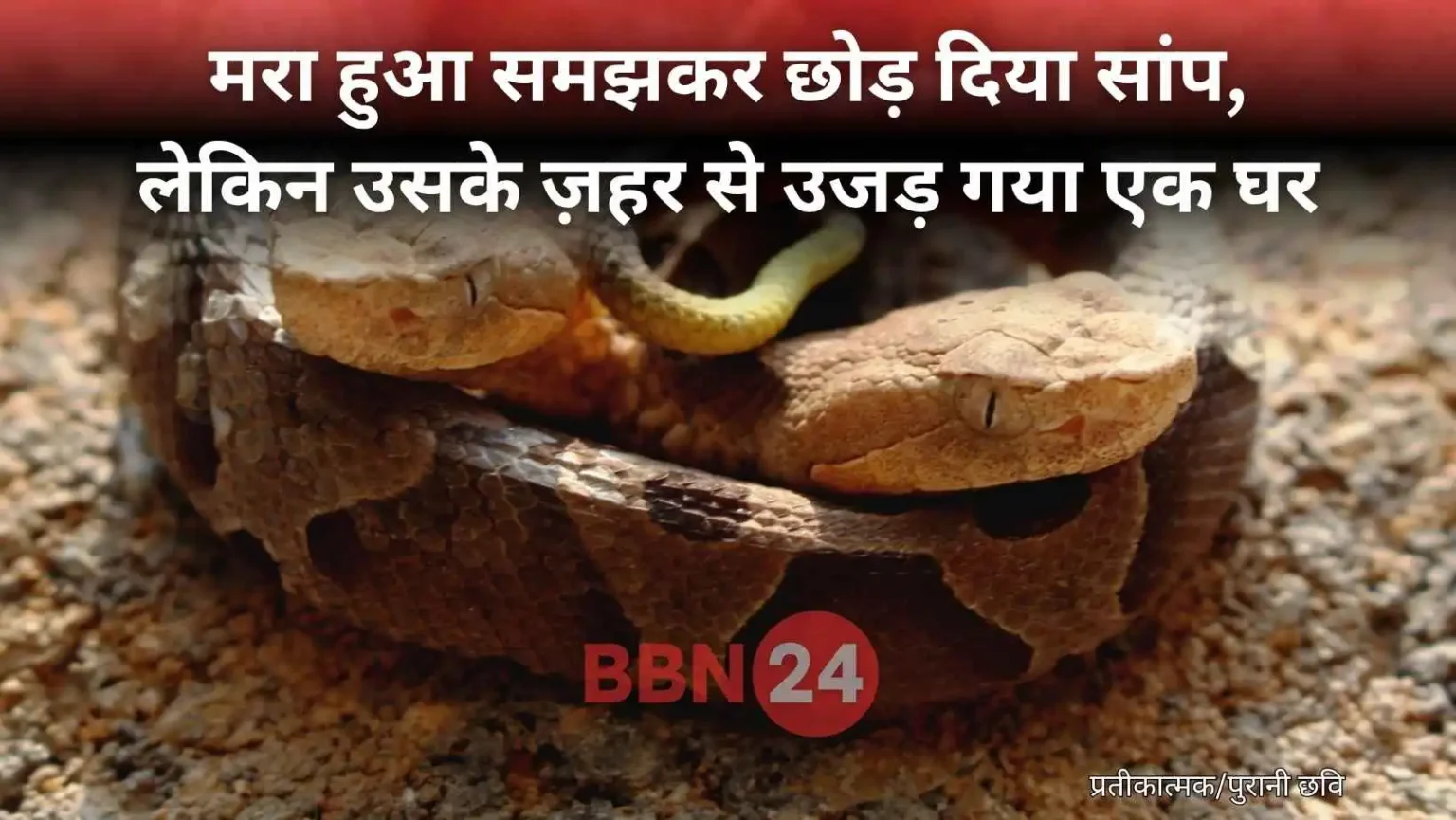 Child Dies From Bitten Snake In Saharsa