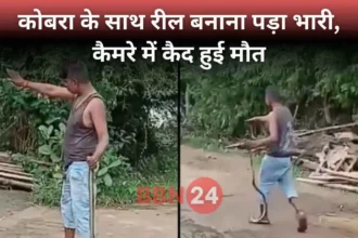 Cobra Reel Stunt Turns Fatal In Gondia Maharashtra Viral Video