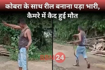Cobra Reel Stunt Turns Fatal In Gondia Maharashtra Viral Video