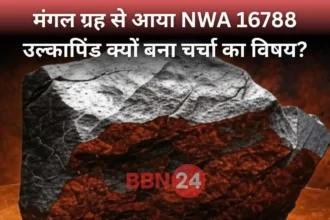 Martian Meteorite Nwa16788 Auction Sothebys Newyork