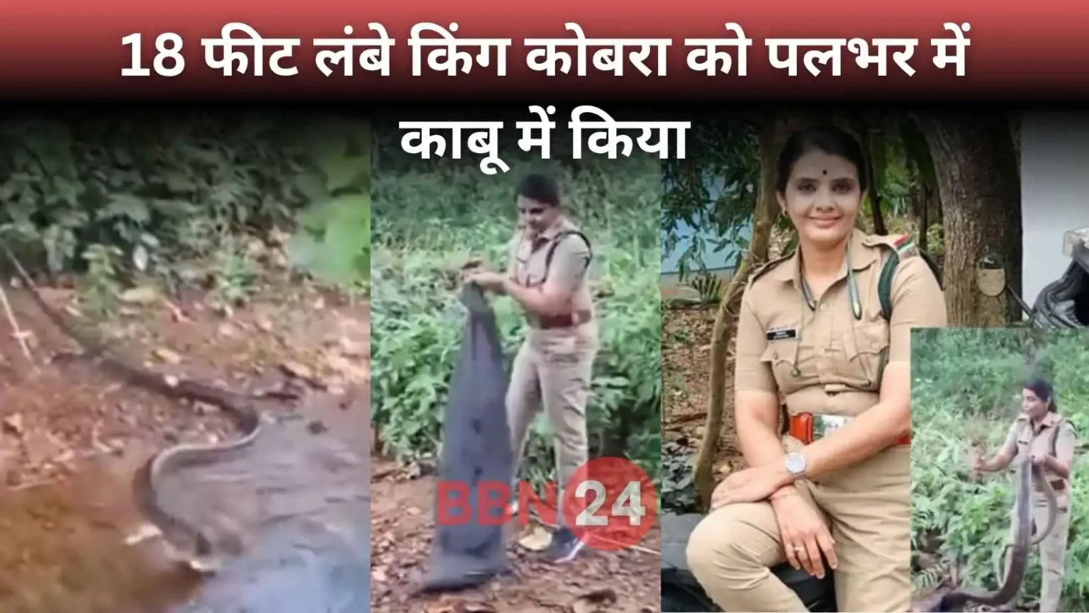 Roshni Gs Catches 18 Feet King Cobra In Kerala