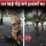 Trees Standing On Jehanabad Bypass Nh83 Bihar Forest Department Reply