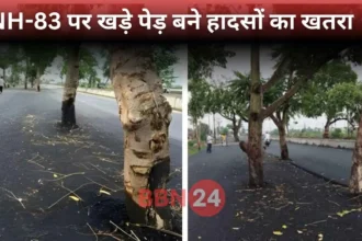 Trees Standing On Jehanabad Bypass Nh83 Bihar Forest Department Reply