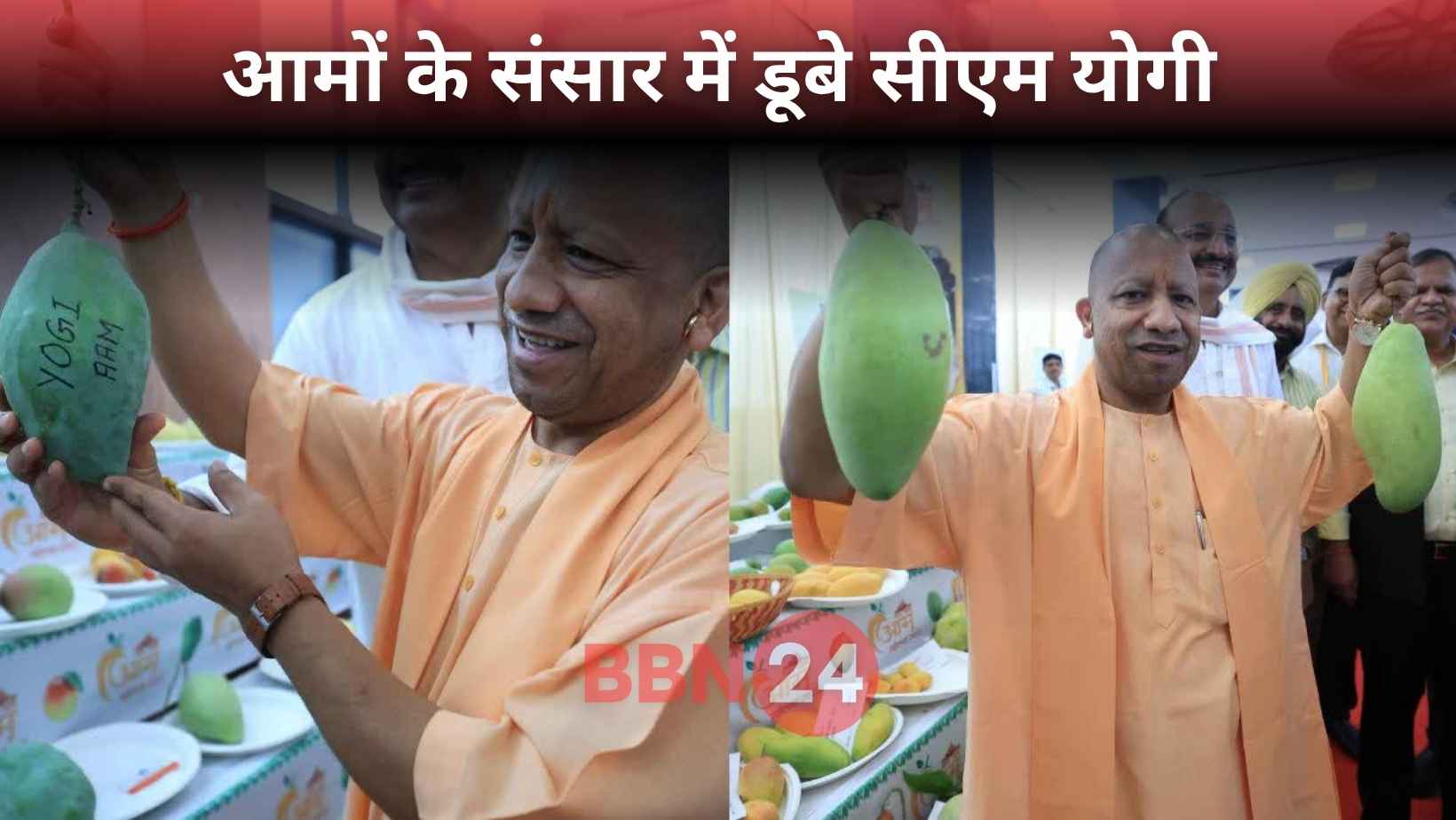 Yogi Mango Festival 2025 Uttar Pradesh Varieties